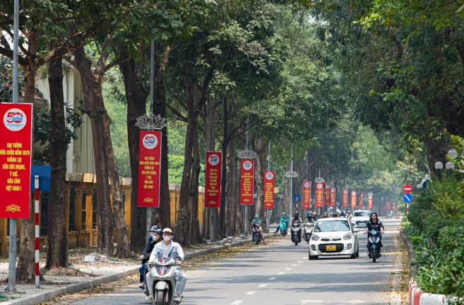 Ha Noi ruc ro co hoa chao mung ky niem 30/4-Hinh-11