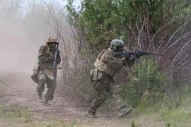 Mặt trận Hulyaipole rung chuyển, Lữ đoàn 102 Ukraine bỗng dưng "mất tích"