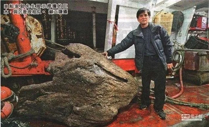 Nhat duoc khuc go la, hoa ra 'bau vat' ca doi khong dam nghi-Hinh-2