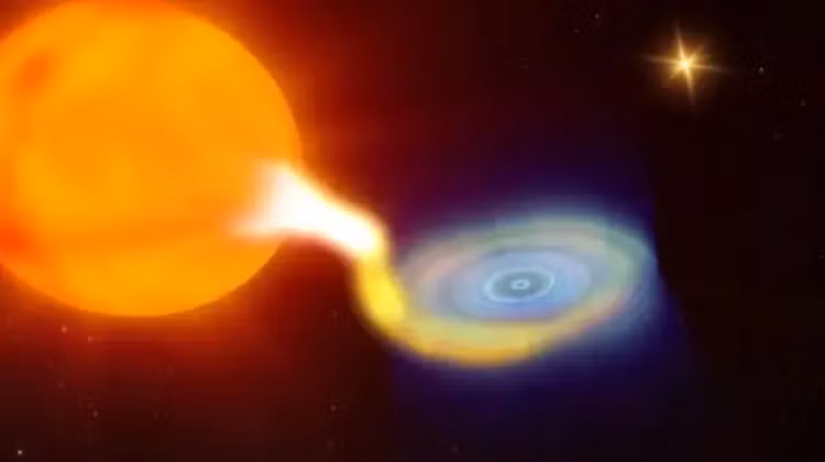 Bi an lo den 'ma ca rong' khien gioi khoa hoc boi roi-Hinh-7