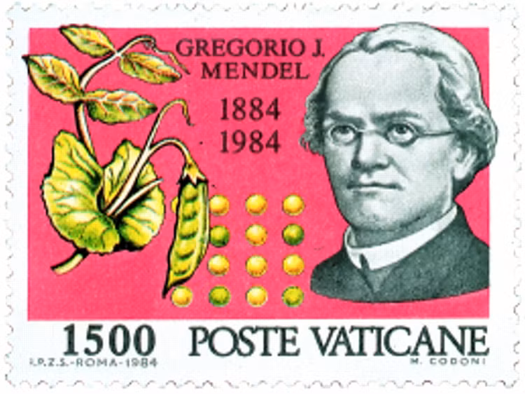 Khai quat hai cot “cha de” nganh di truyen hoc Mendel, bat ngo su that-Hinh-11