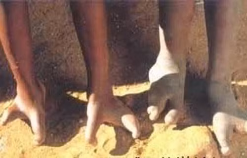 Su that ngo ngang nhung ban chan ky la nhat tren the gioi-Hinh-8