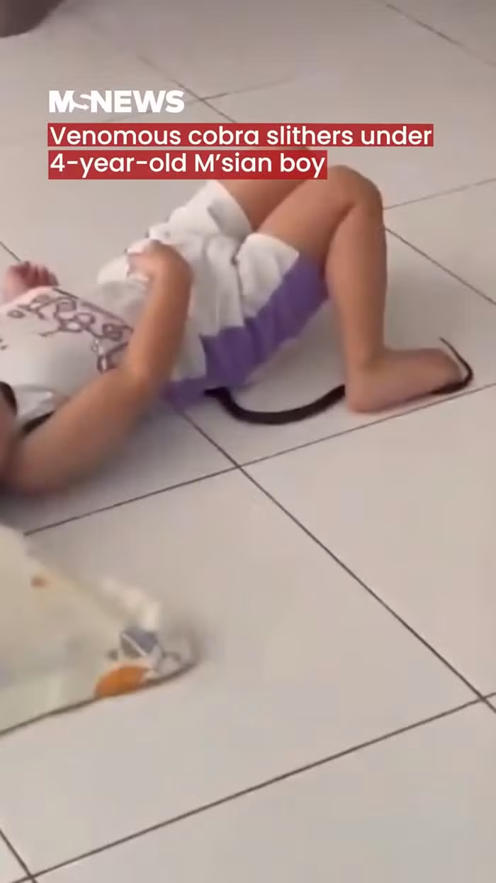 Dang nam ngu, be trai 4 tuoi bi 'quai thu' truon qua nguoi