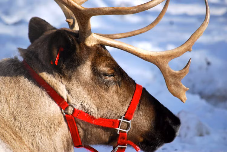 Nhung su that thu vi ve tuan loc co the ban chua biet-Hinh-5