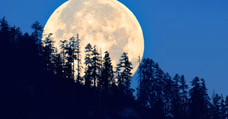 Nhung hien tuong thien van ky thu trong nam 2024-Hinh-5