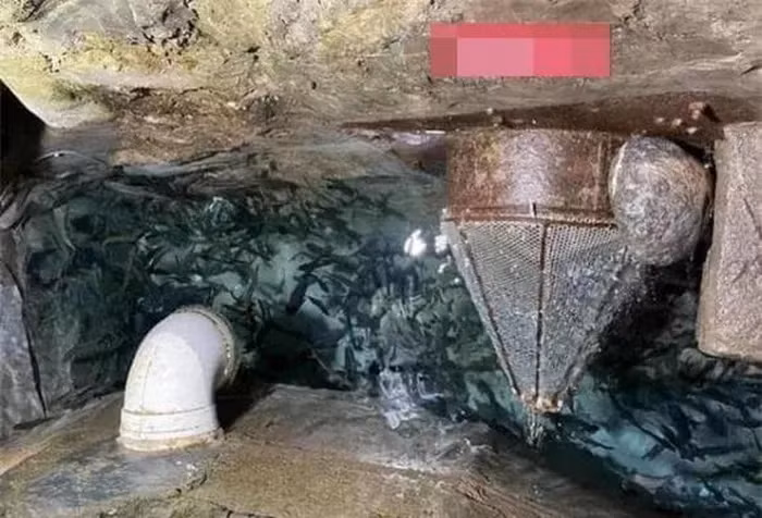 Tim thay 'kho bau' khong lo duoi san nha nho tin vao giac mo-Hinh-6