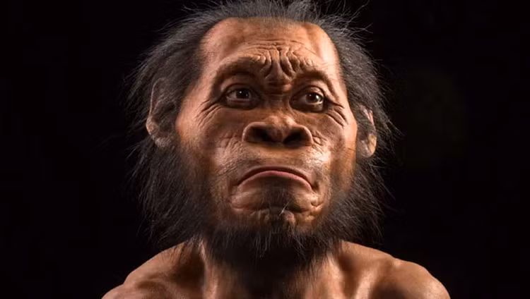 Khai quat hai cot “loai nguoi ma”, phat hien bi mat gay soc-Hinh-2