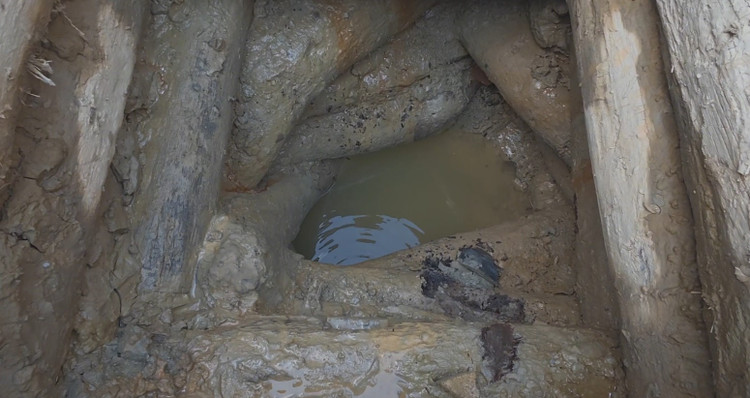 Gieng co go xoan oc vua phat lo o Bac Giang co gi dac biet?-Hinh-7