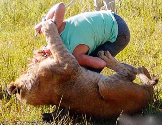 Tham hoa nao se xay ra neu dong vat chong lai con nguoi?-Hinh-9