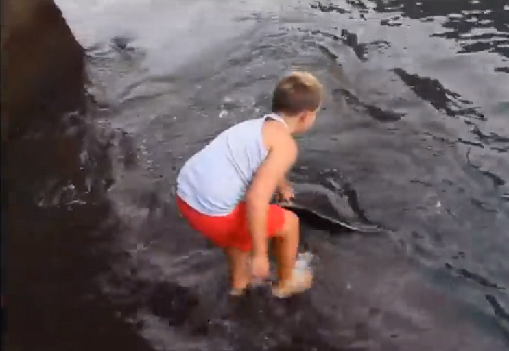 Quai ngu xuat hien duoi nuoc, be 8 tuoi hanh dong bat ngo-Hinh-2