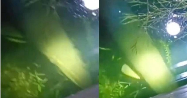 Trung Quoc xuat hien quai ngu, chuyen gia lap tuc hut can nuoc ho