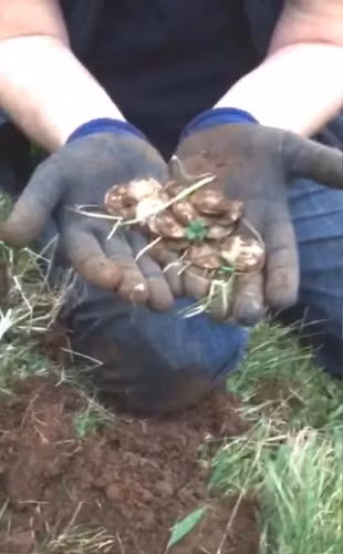 Dung may do kim loai tim nhan cuoi, sung sot thay kho bau khung-Hinh-2