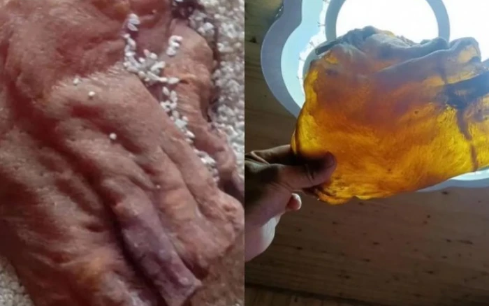 Don nha nhat duoc bong bong ca kho, ai ngo la bau vat tien ty-Hinh-5