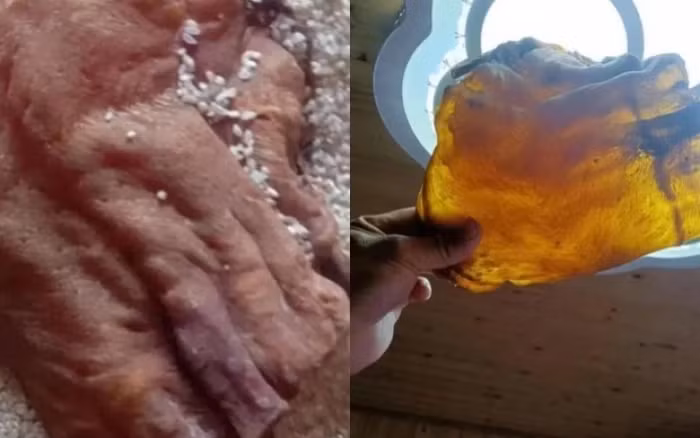 Don nha nhat duoc bong bong ca kho, ai ngo la bau vat tien ty-Hinh-5