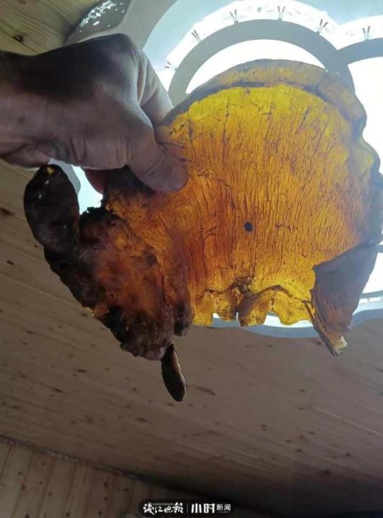 Don nha nhat duoc bong bong ca kho, ai ngo la bau vat tien ty-Hinh-7