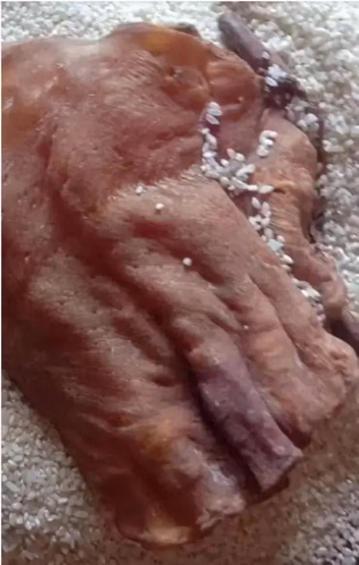 Don nha nhat duoc bong bong ca kho, ai ngo la bau vat tien ty-Hinh-2