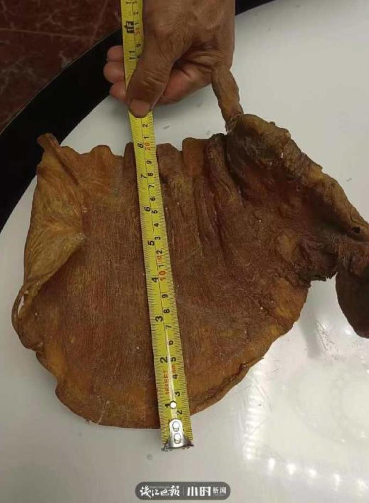 Don nha nhat duoc bong bong ca kho, ai ngo la bau vat tien ty-Hinh-6