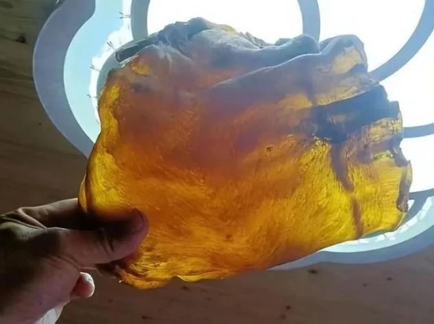 Don nha nhat duoc bong bong ca kho, ai ngo la bau vat tien ty