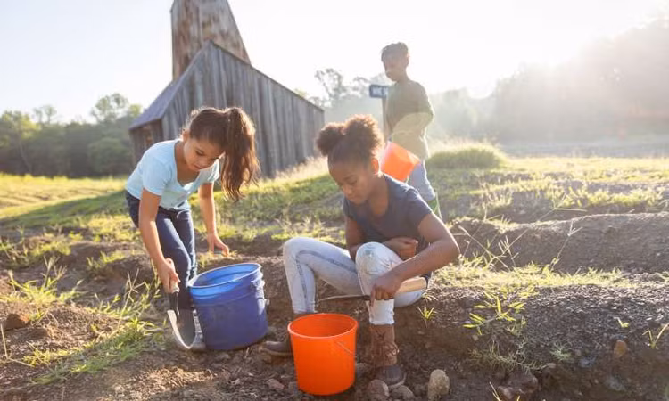 Di dao cong vien, vo tinh vo duoc vien kim cuong sieu khung-Hinh-8