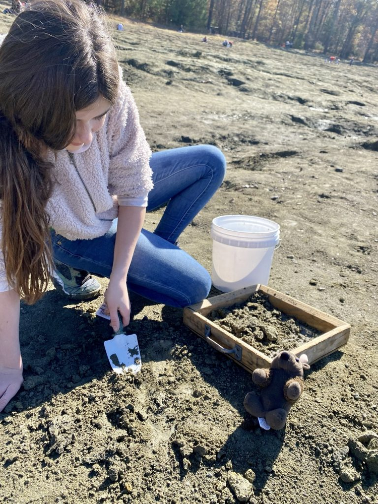 Di dao cong vien, vo tinh vo duoc vien kim cuong sieu khung-Hinh-5