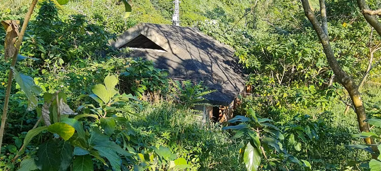 Am anh loat biet thu bo hoang duoi chan nui Son Tra-Hinh-7