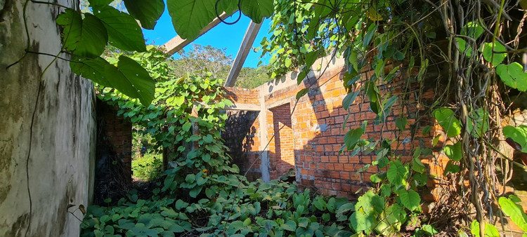 Am anh loat biet thu bo hoang duoi chan nui Son Tra-Hinh-11