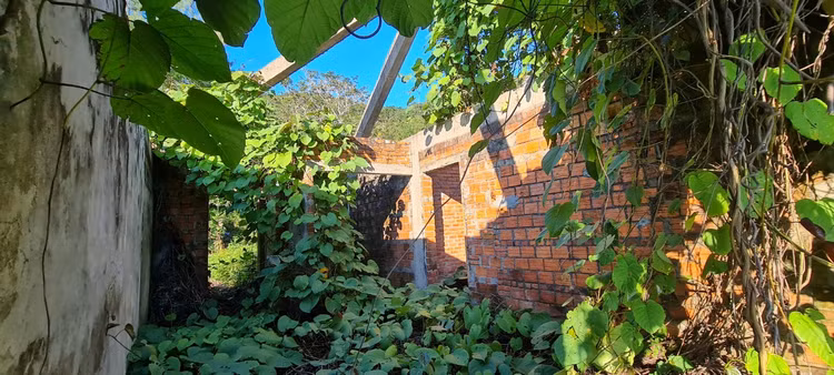 Am anh loat biet thu bo hoang duoi chan nui Son Tra-Hinh-11