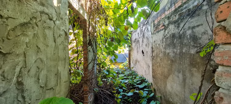 Am anh loat biet thu bo hoang duoi chan nui Son Tra-Hinh-12