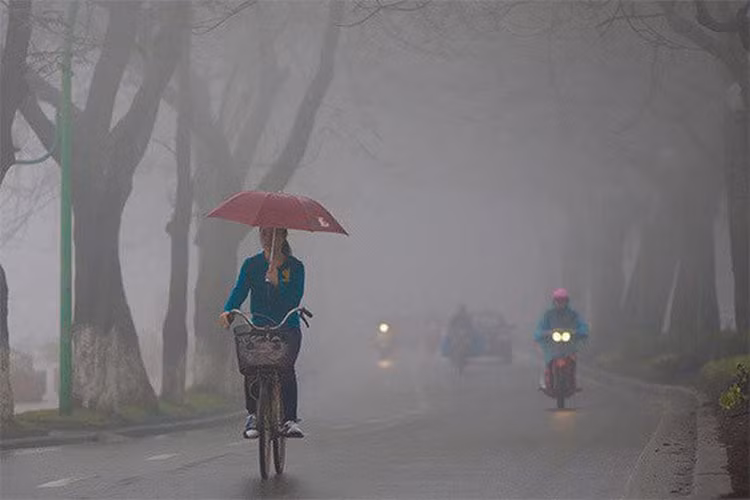 Thoi tiet nom am se dien ra tu cuoi thang 2 den thang 4