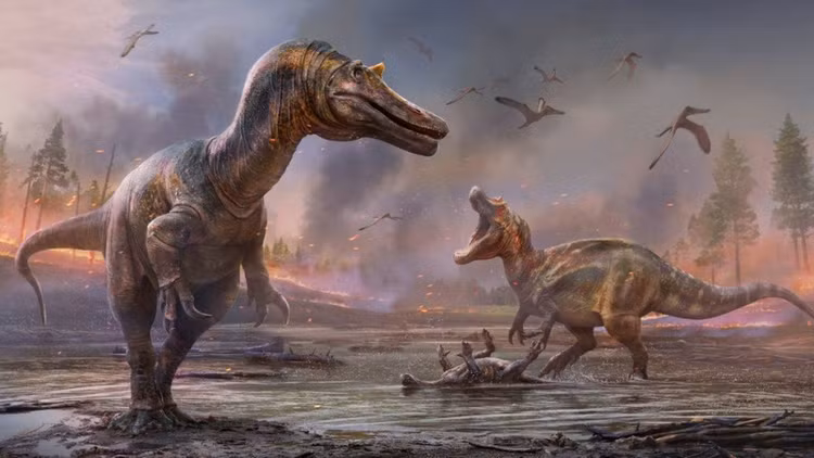 Quai thu 72 trieu tuoi nang hang chuc tan bat ngo lo dien-Hinh-6