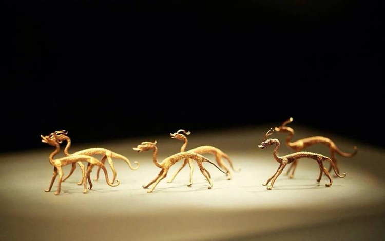 Dao dat dung trung kho bau, ca cong truong lap tuc bi phong toa-Hinh-4