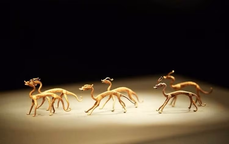 Dao dat dung trung kho bau, ca cong truong lap tuc bi phong toa-Hinh-4