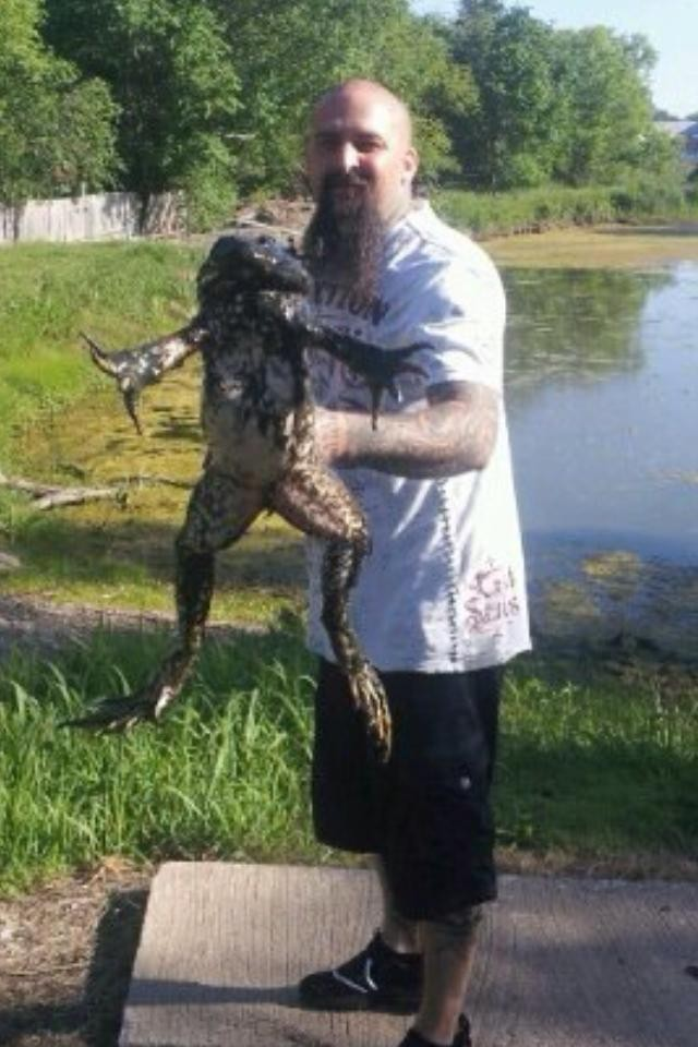 Kinh ngac loai ech lon nhat tren the gioi, bang ca mot dua tre-Hinh-3