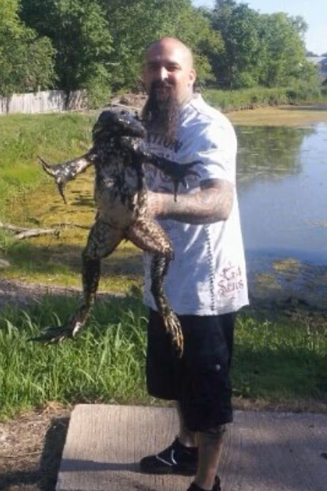 Kinh ngac loai ech lon nhat tren the gioi, bang ca mot dua tre-Hinh-3