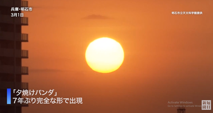 Nhung dieu thu vi it ai biet ve hien tuong 'gau truc hoang hon'-Hinh-5