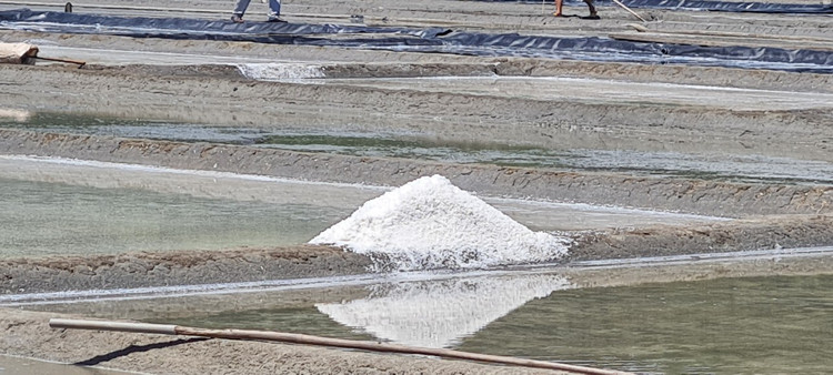 Tham canh dong muoi tung la diem ngam hoang hon dep nhat the gioi-Hinh-8