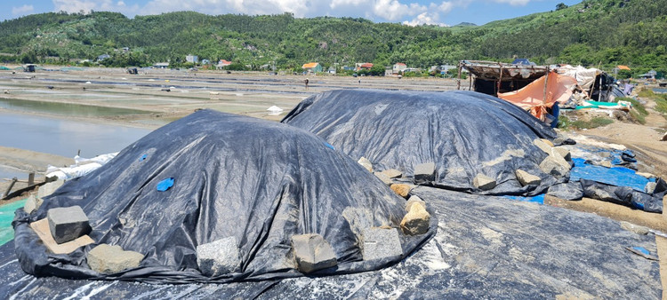 Tham canh dong muoi tung la diem ngam hoang hon dep nhat the gioi-Hinh-9