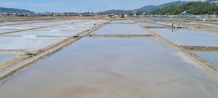 Tham canh dong muoi tung la diem ngam hoang hon dep nhat the gioi-Hinh-10