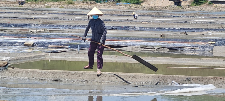 Tham canh dong muoi tung la diem ngam hoang hon dep nhat the gioi-Hinh-5