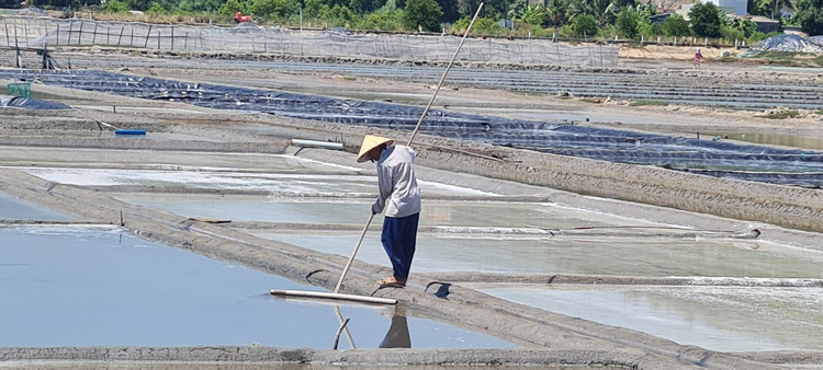 Tham canh dong muoi tung la diem ngam hoang hon dep nhat the gioi-Hinh-6