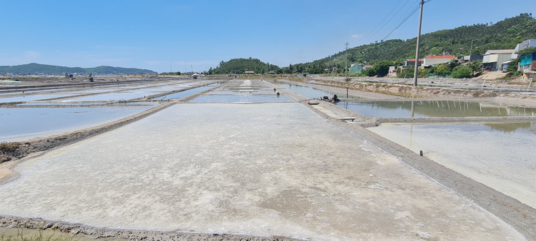 Tham canh dong muoi tung la diem ngam hoang hon dep nhat the gioi-Hinh-2