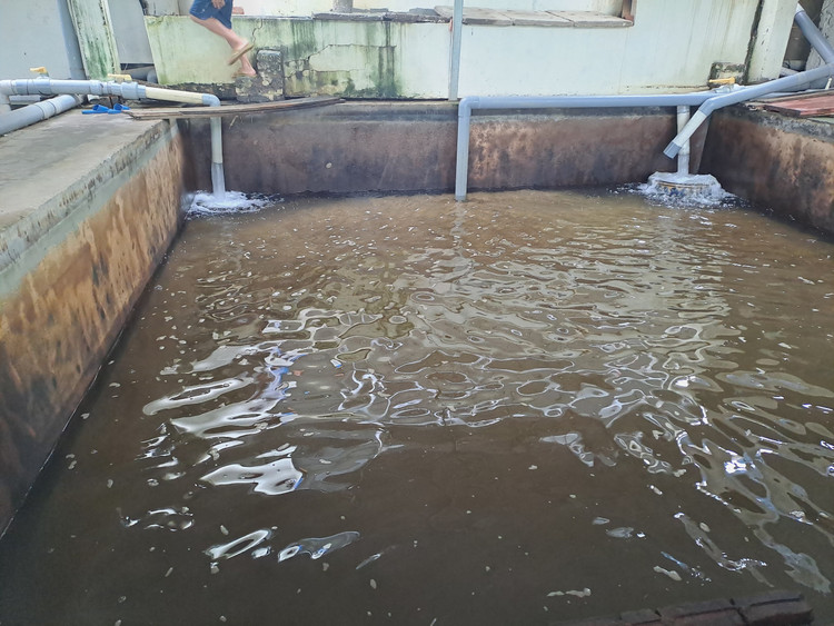 Dan keu nuoc ban: Nha may nuoc dong y chuyen giao cho don vi khac-Hinh-2