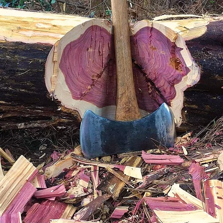 Loai go quy hon ngoc, co kha nang doi mau, Viet Nam cung co-Hinh-3