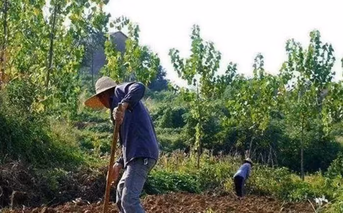 Dot nhap hang o ran, lao nong bat ngo tim thay 'kho bau' khung