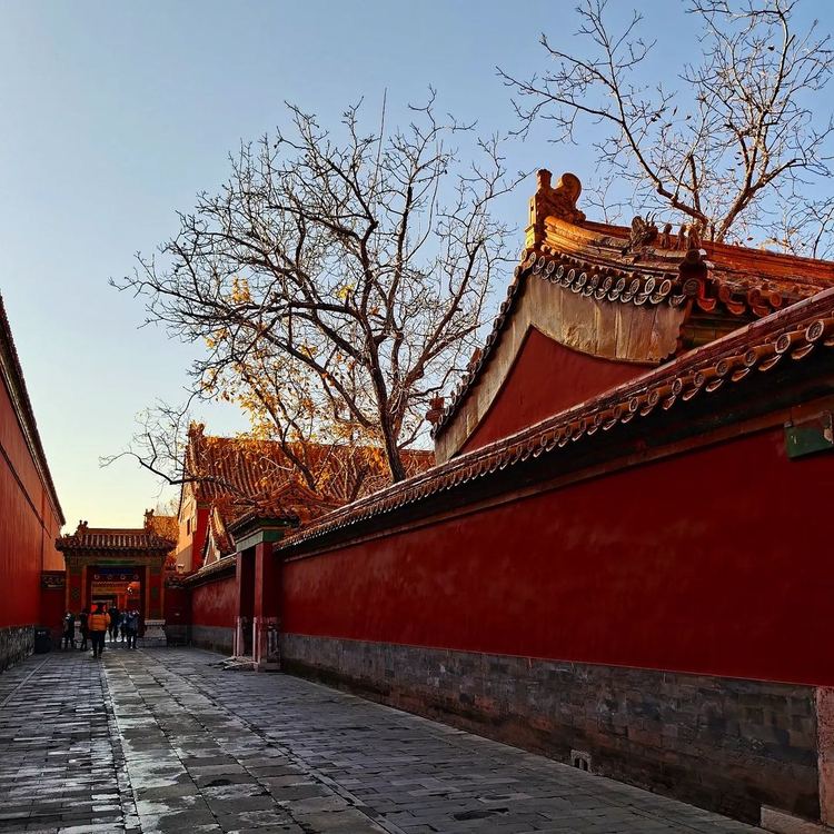 Vi sao nguoi xua boi 60 tan tiet lon len Tu Cam Thanh hang nam?-Hinh-6