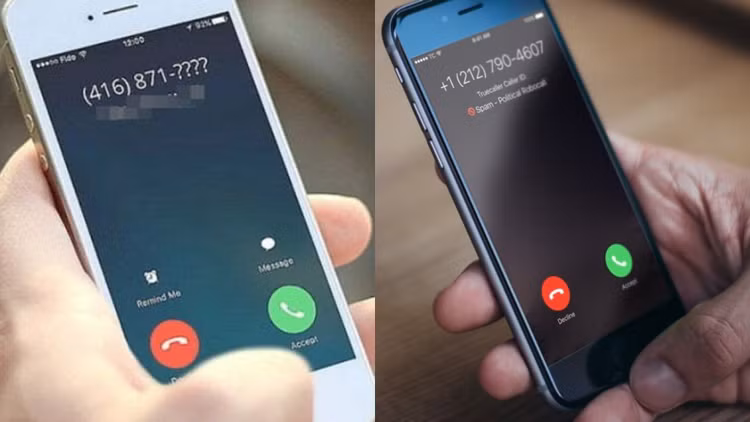 Thay dau + tren dau so dien thoai nhay may, coi chung dinh bay lua-Hinh-7