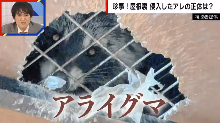 Dieng nguoi khi thay “ban tay tai met” tho ra tu tran nha-Hinh-2