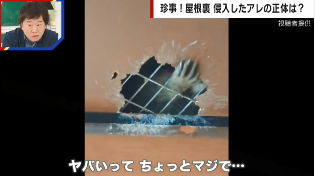 Dieng nguoi khi thay “ban tay tai met” tho ra tu tran nha