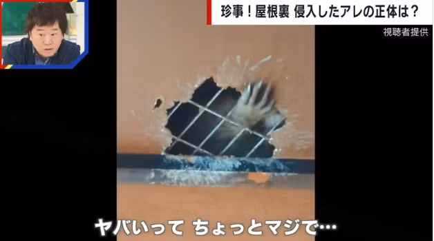 Dieng nguoi khi thay “ban tay tai met” tho ra tu tran nha