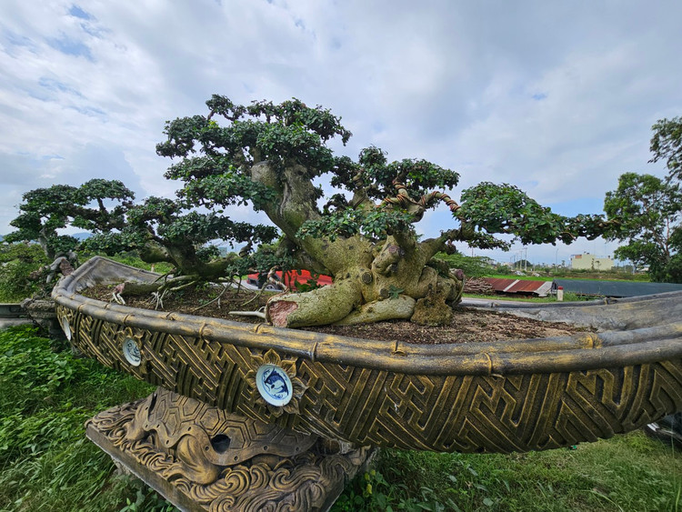 Cu duoi tram tuoi tren quoc lo, dai gia khong no luot qua-Hinh-9